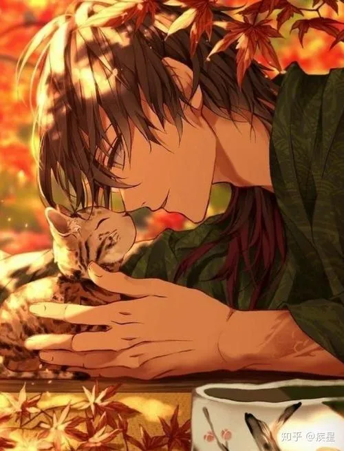 官方安全与隐私保护